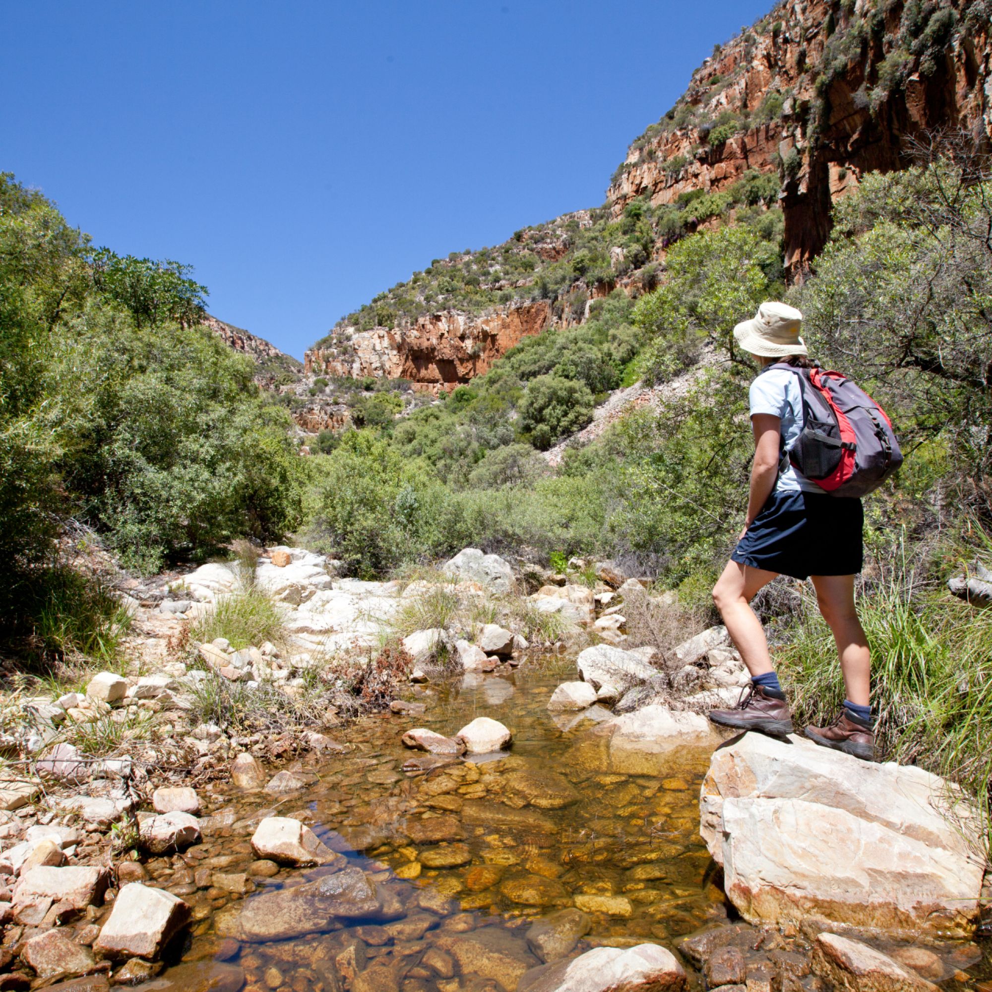 Image related to website content Image related to website content