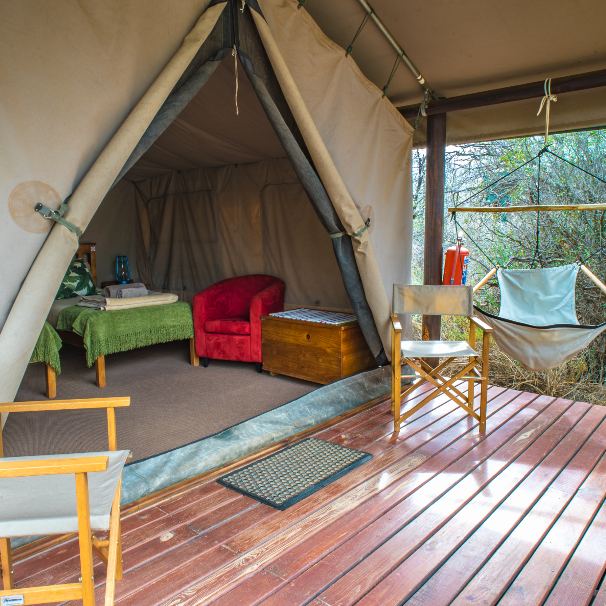 Image related to website content Image related to website content