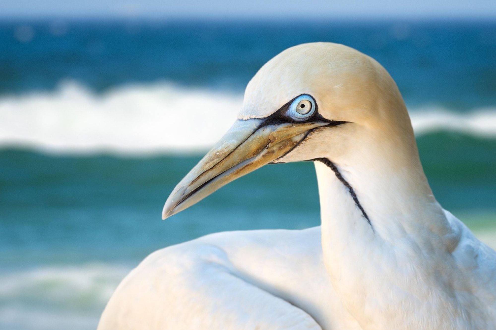 Image related to website content Image related to website content