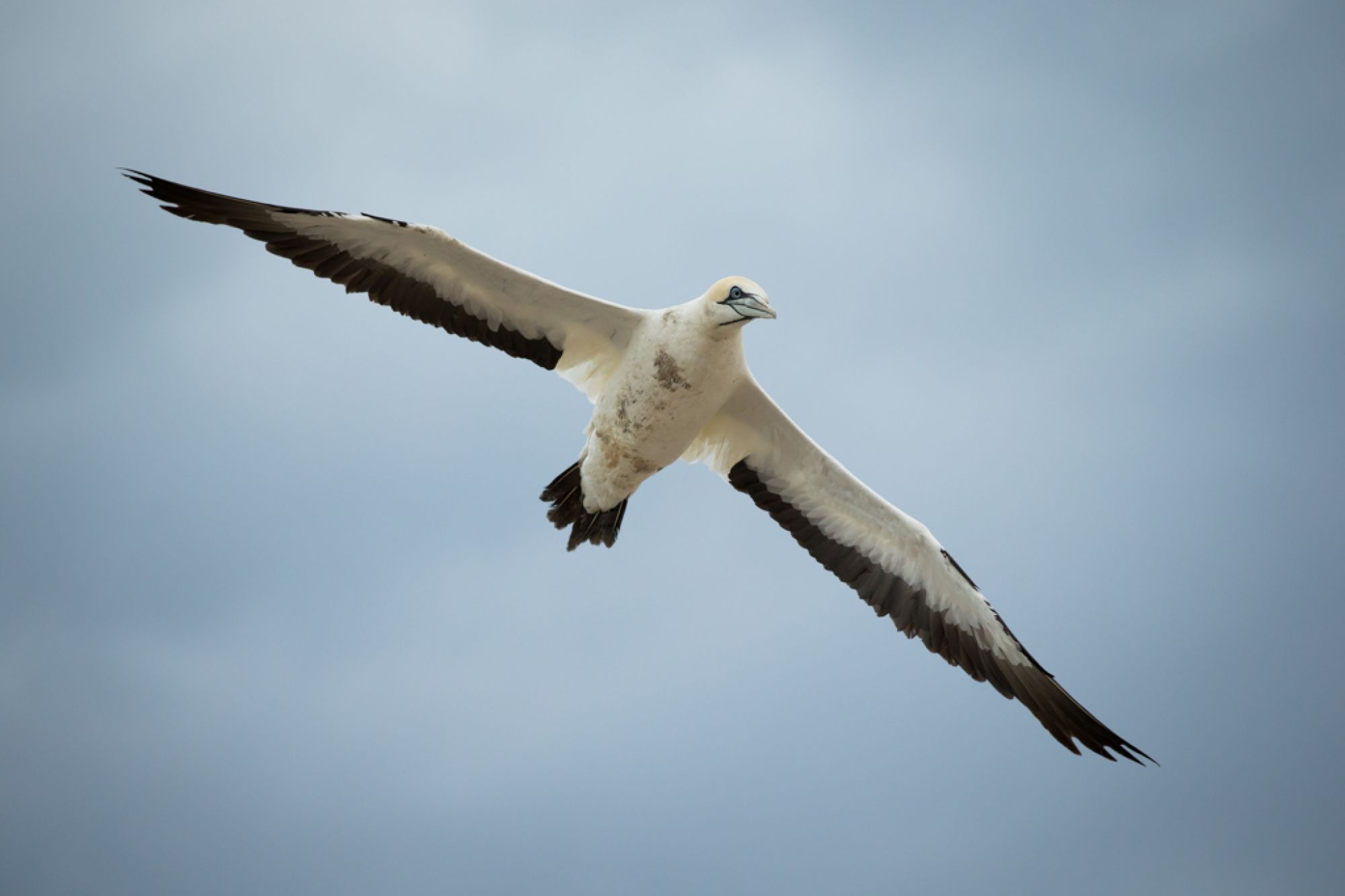 Image related to website content Image related to website content