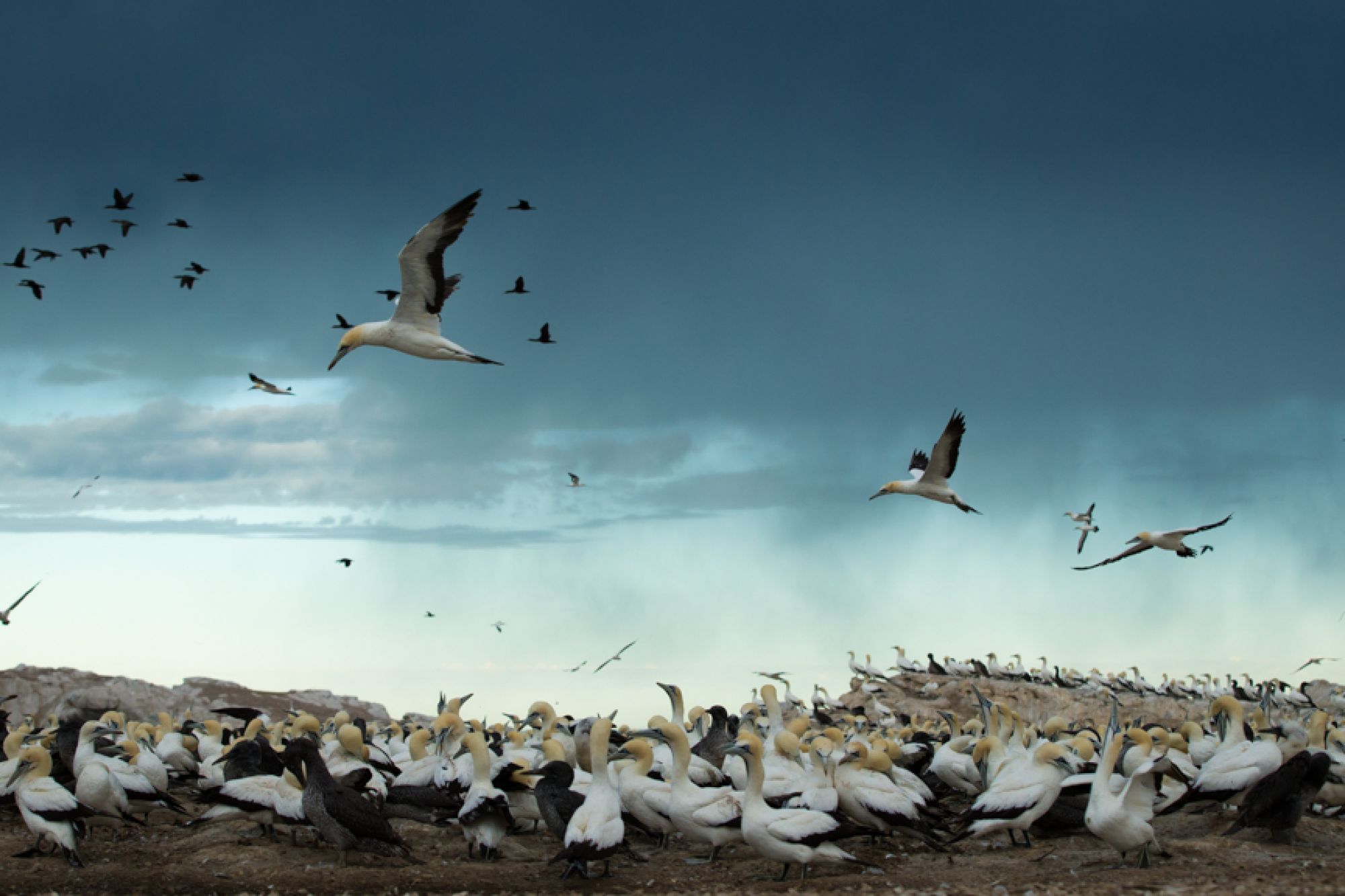 Image related to website content Image related to website content