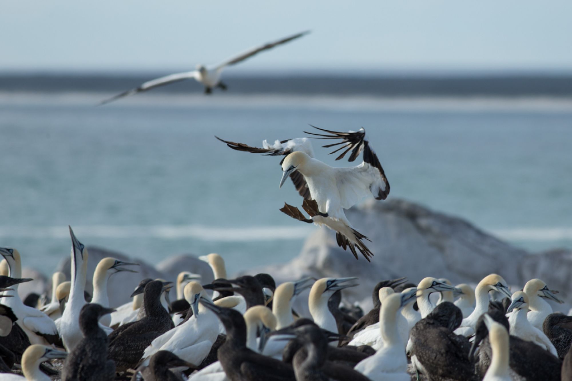 Image related to website content Image related to website content