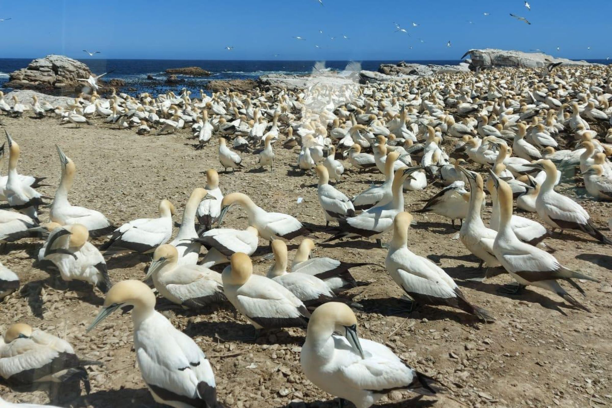 Image related to website content Image related to website content