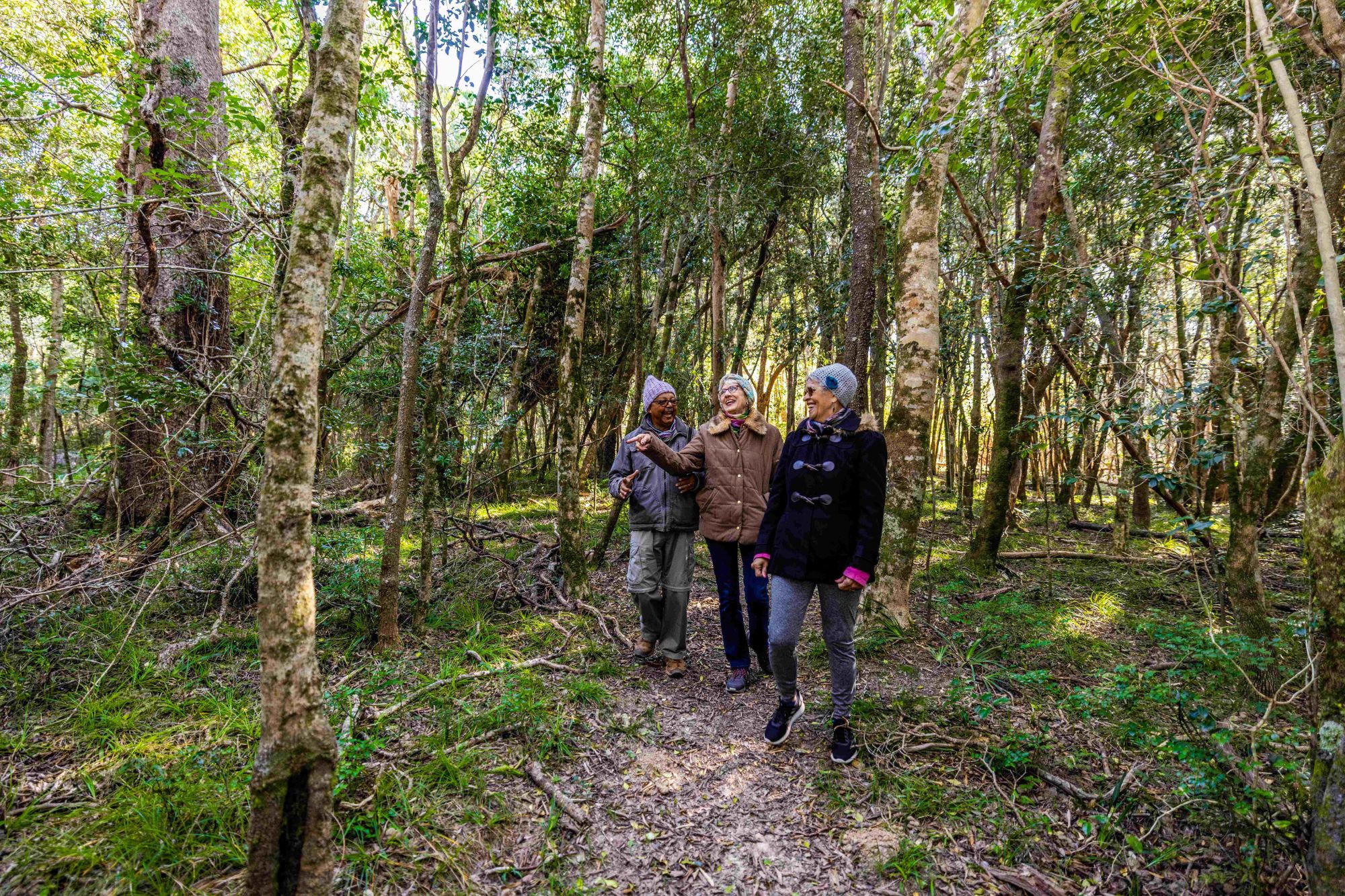 Image related to website content Image related to website content