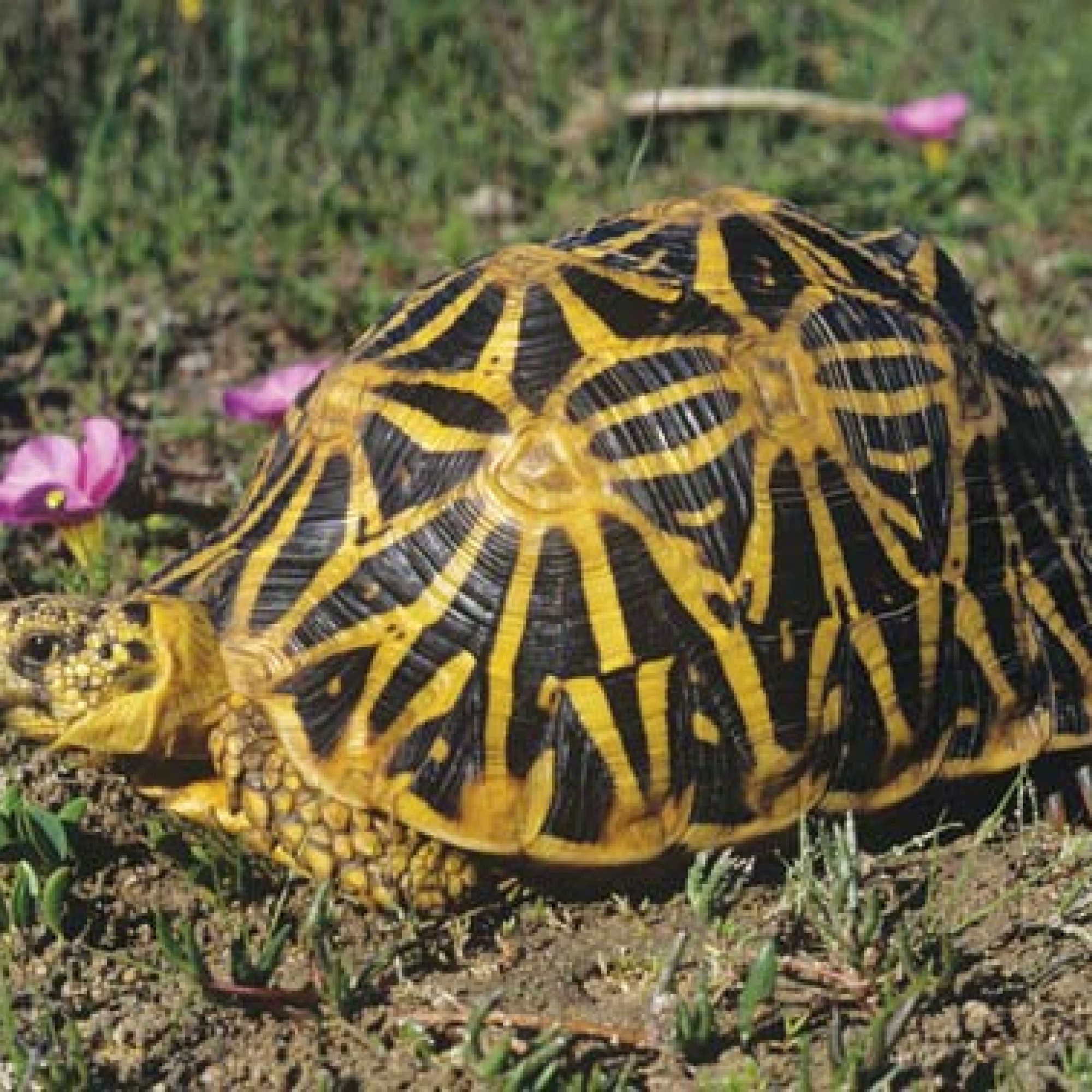 Image related to website content Image related to website content