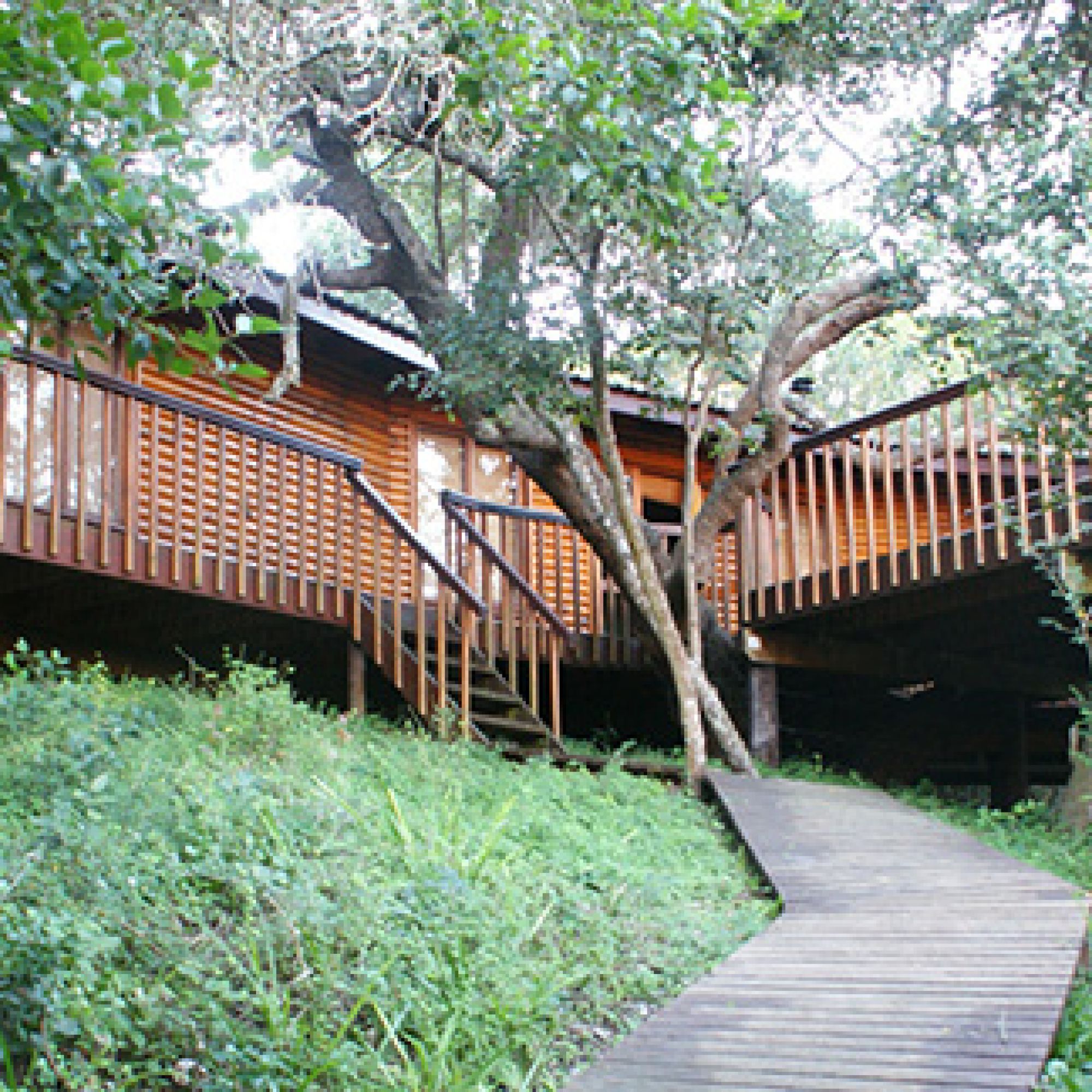 Goukamma Forest lodge exterior