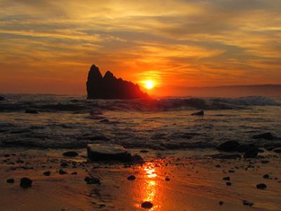 Image related to website content Image related to website content