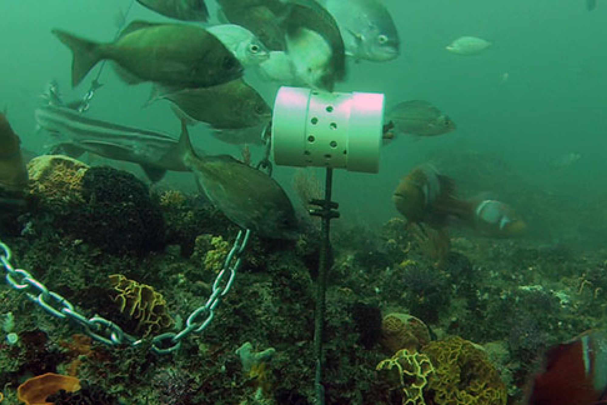 Image related to website content Image related to website content