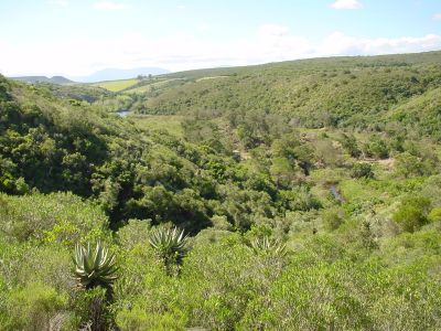 Image related to website content Image related to website content