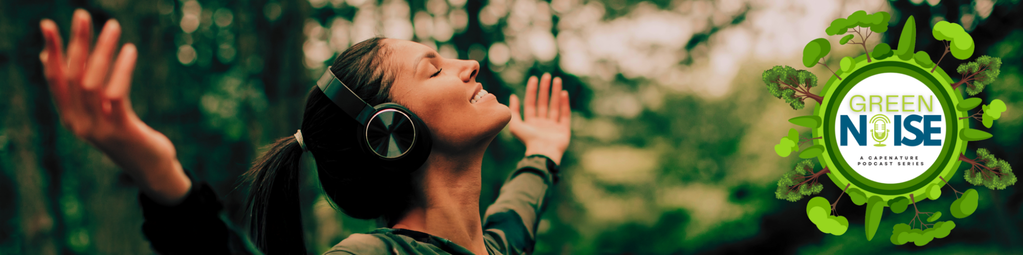 Green Noise Banner Design with text2 Green Noise Banner Design with text2