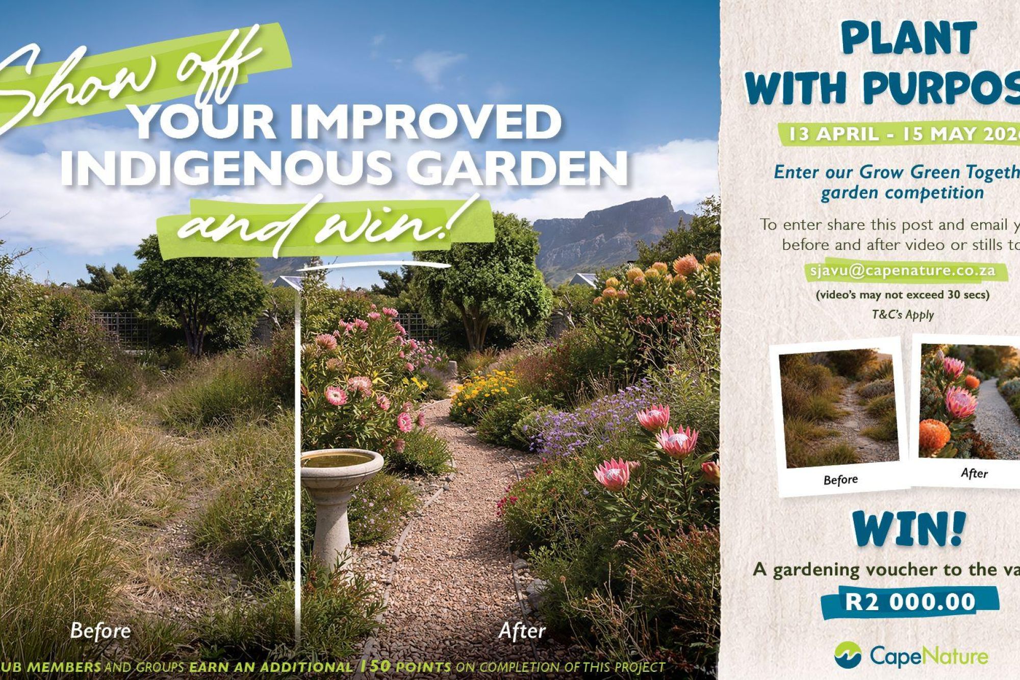 Image related to website content Image related to website content