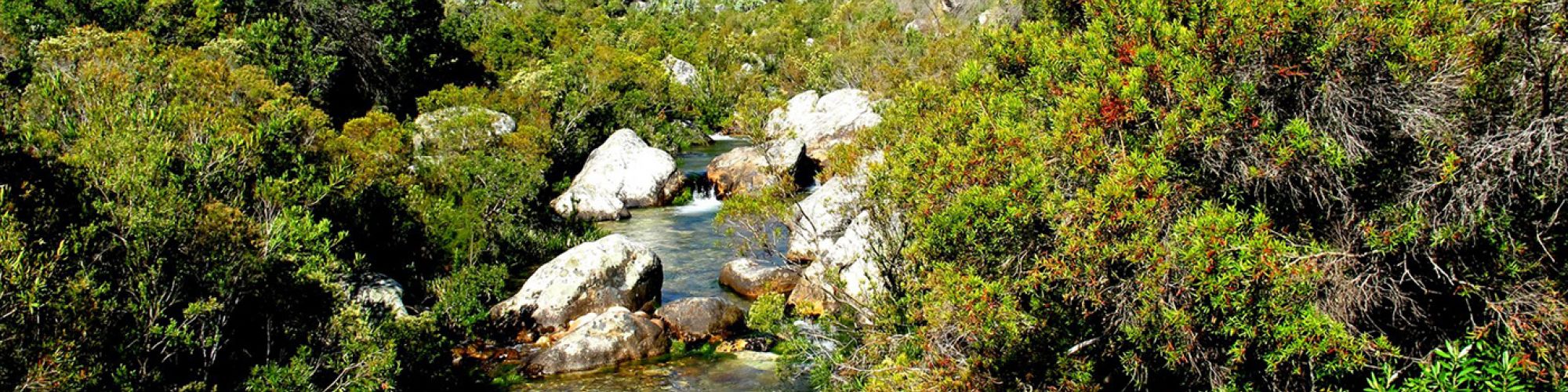 Groot Winterhoek Groot Winterhoek