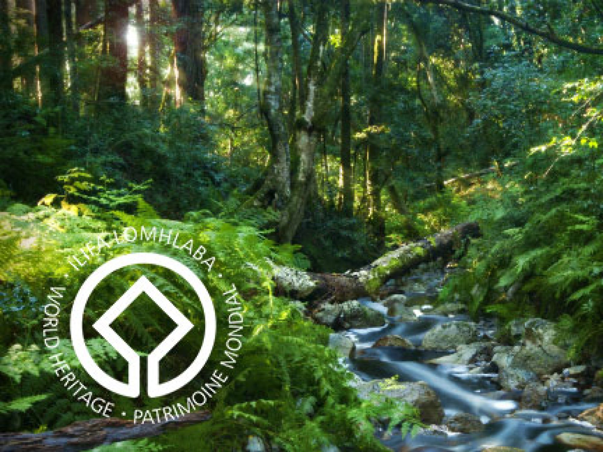 Image related to website content Image related to website content