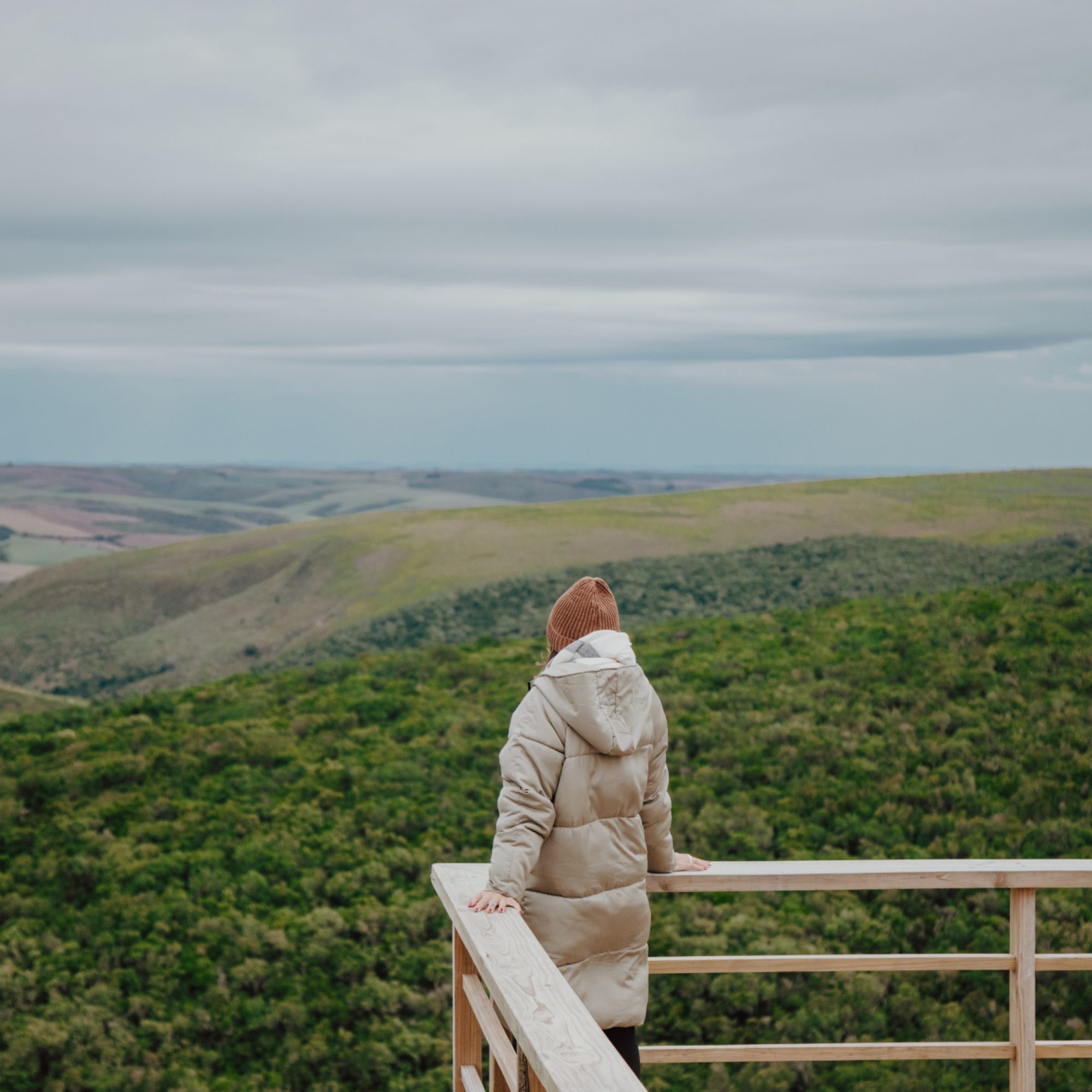 Image related to website content Image related to website content