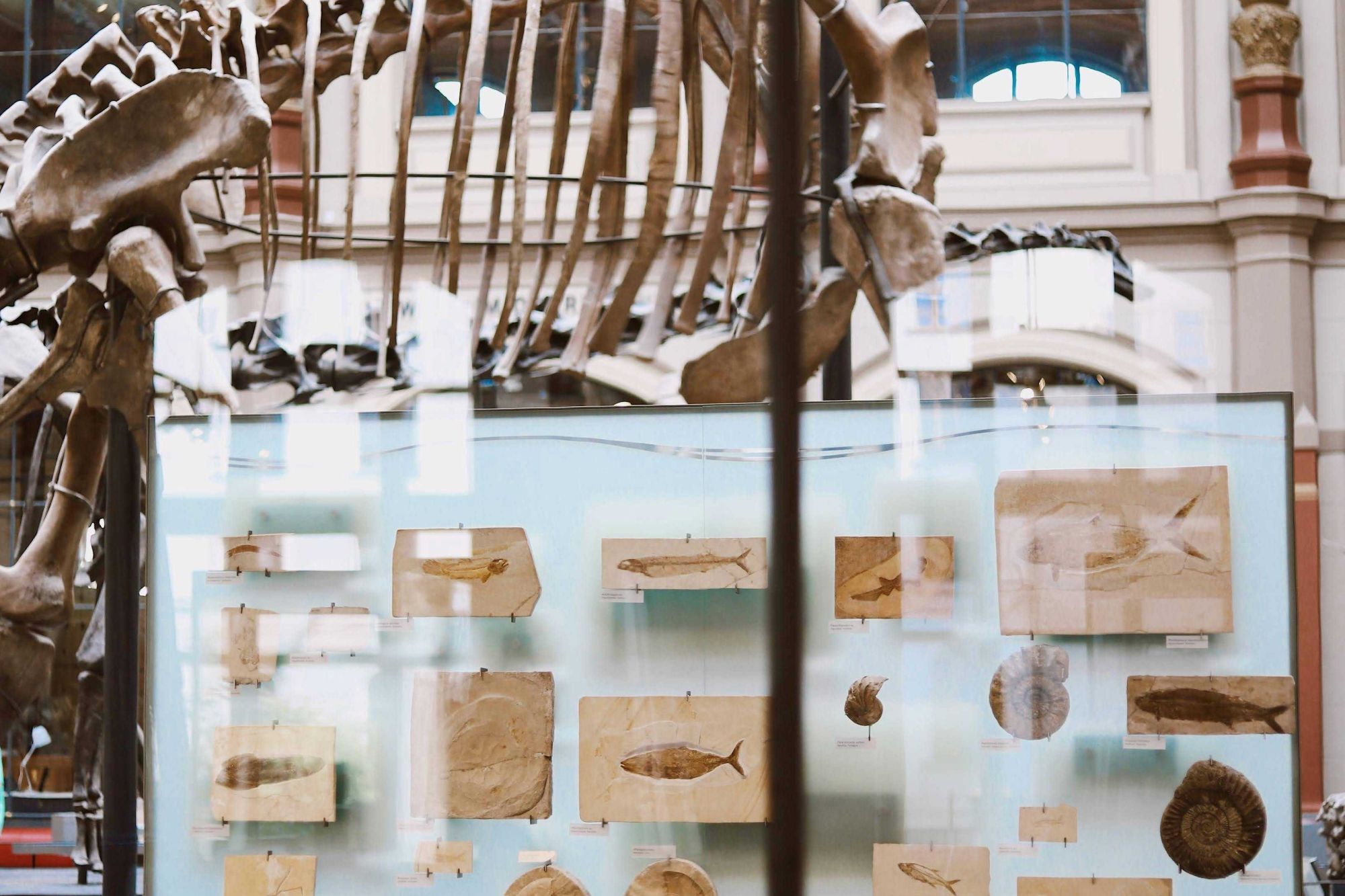 Image related to website content Image related to website content