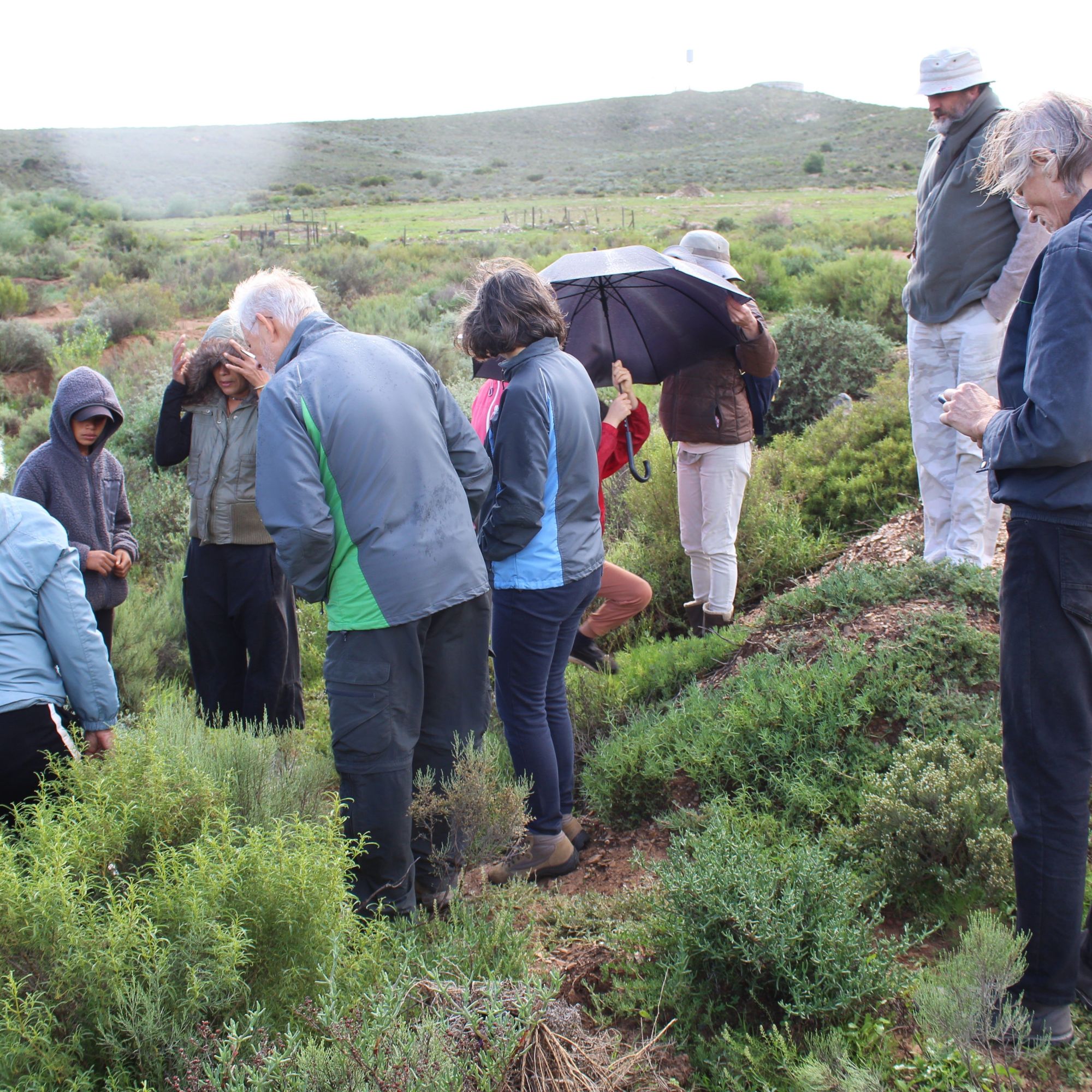 Image related to website content Image related to website content