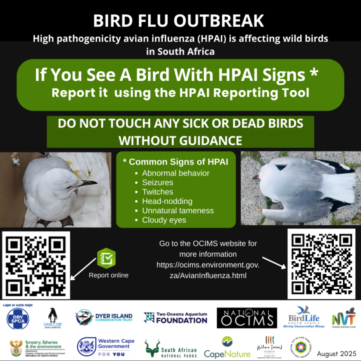 Avian Influenza detected in Western Cape: Public urged to stay alert ...