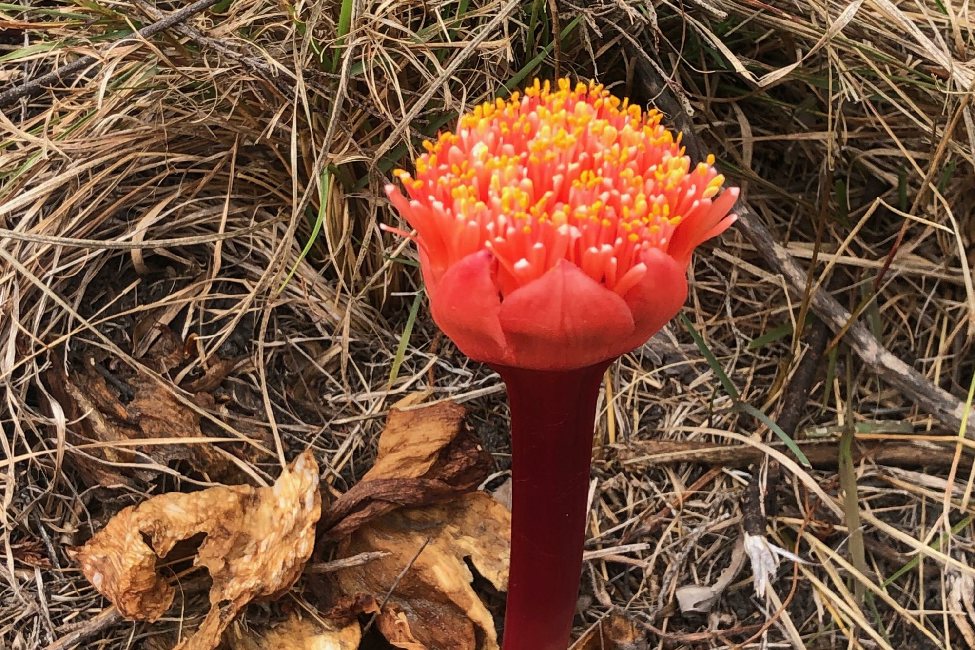 Image related to website content Image related to website content