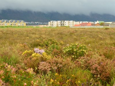 Image related to website content Image related to website content