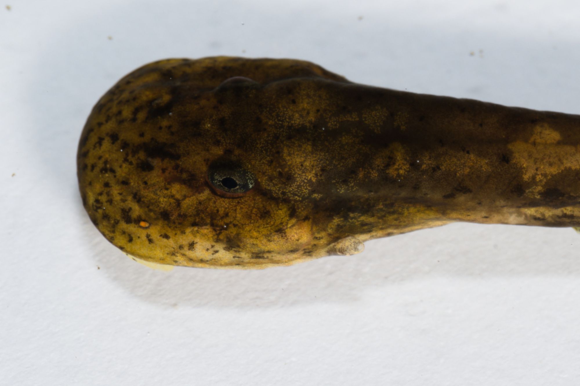 Image related to website content Image related to website content