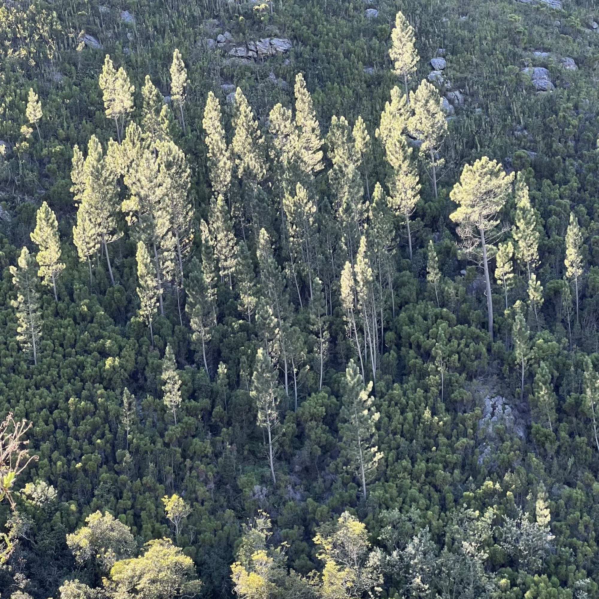 Image related to website content Image related to website content