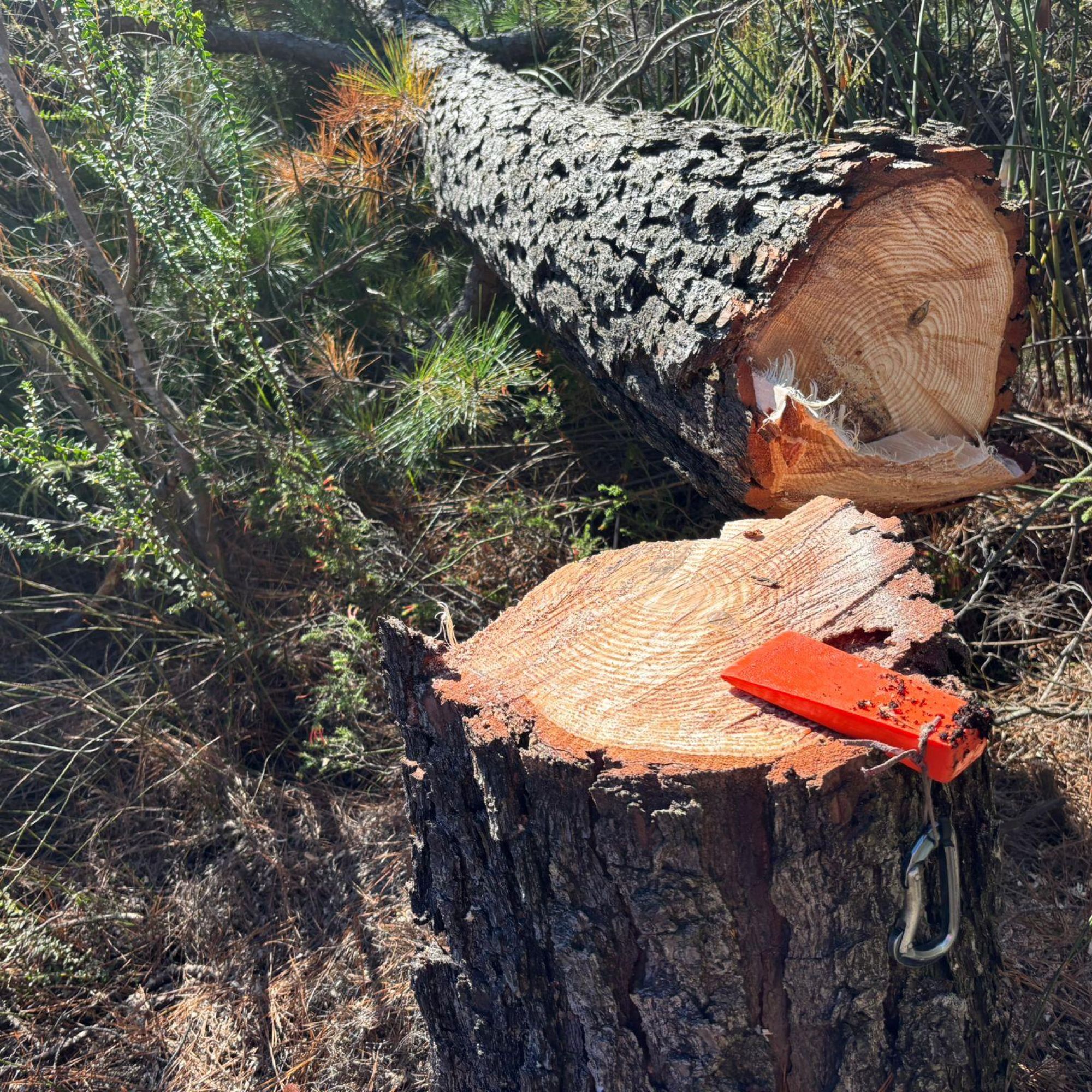 Image related to website content Image related to website content