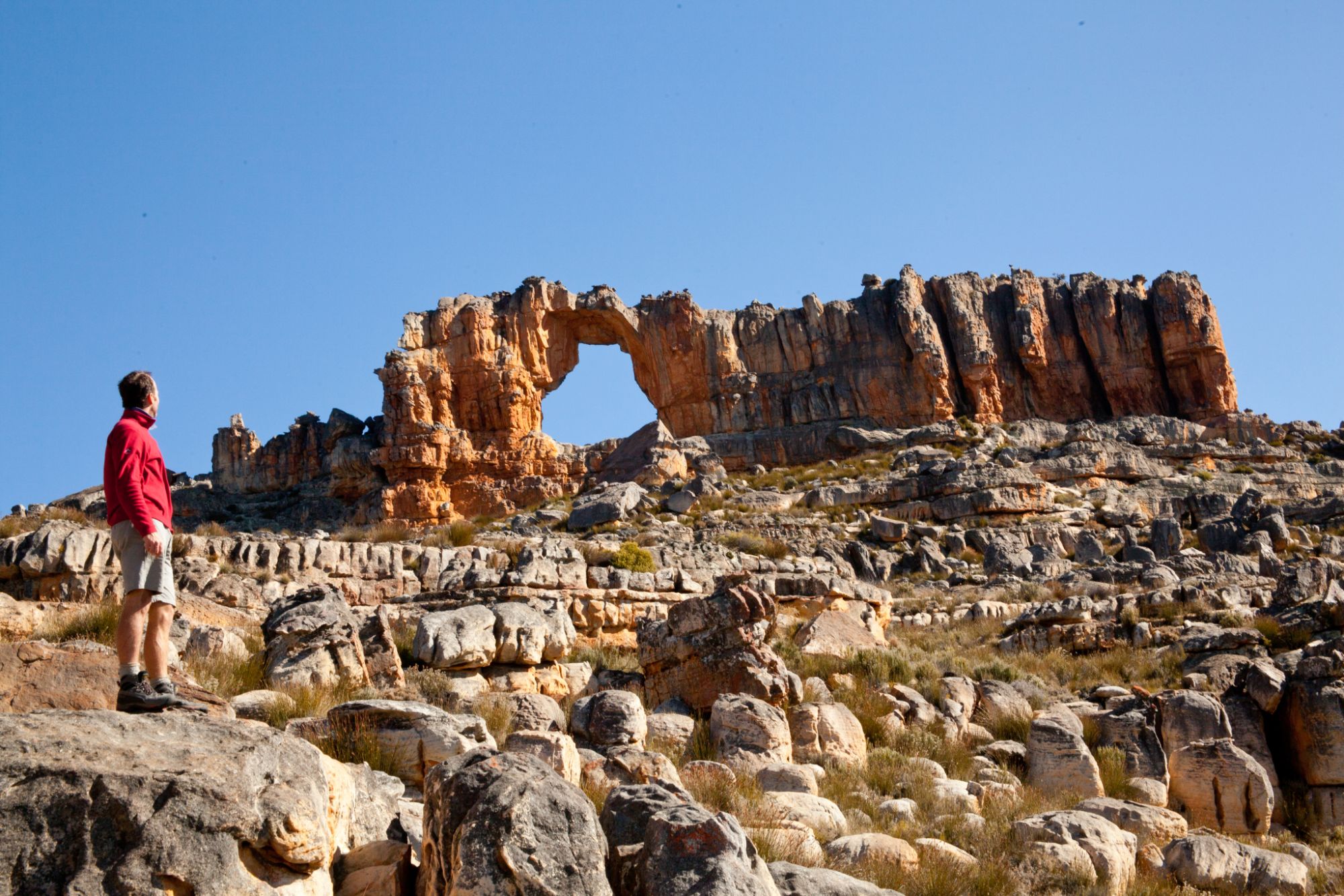 Image related to website content Image related to website content