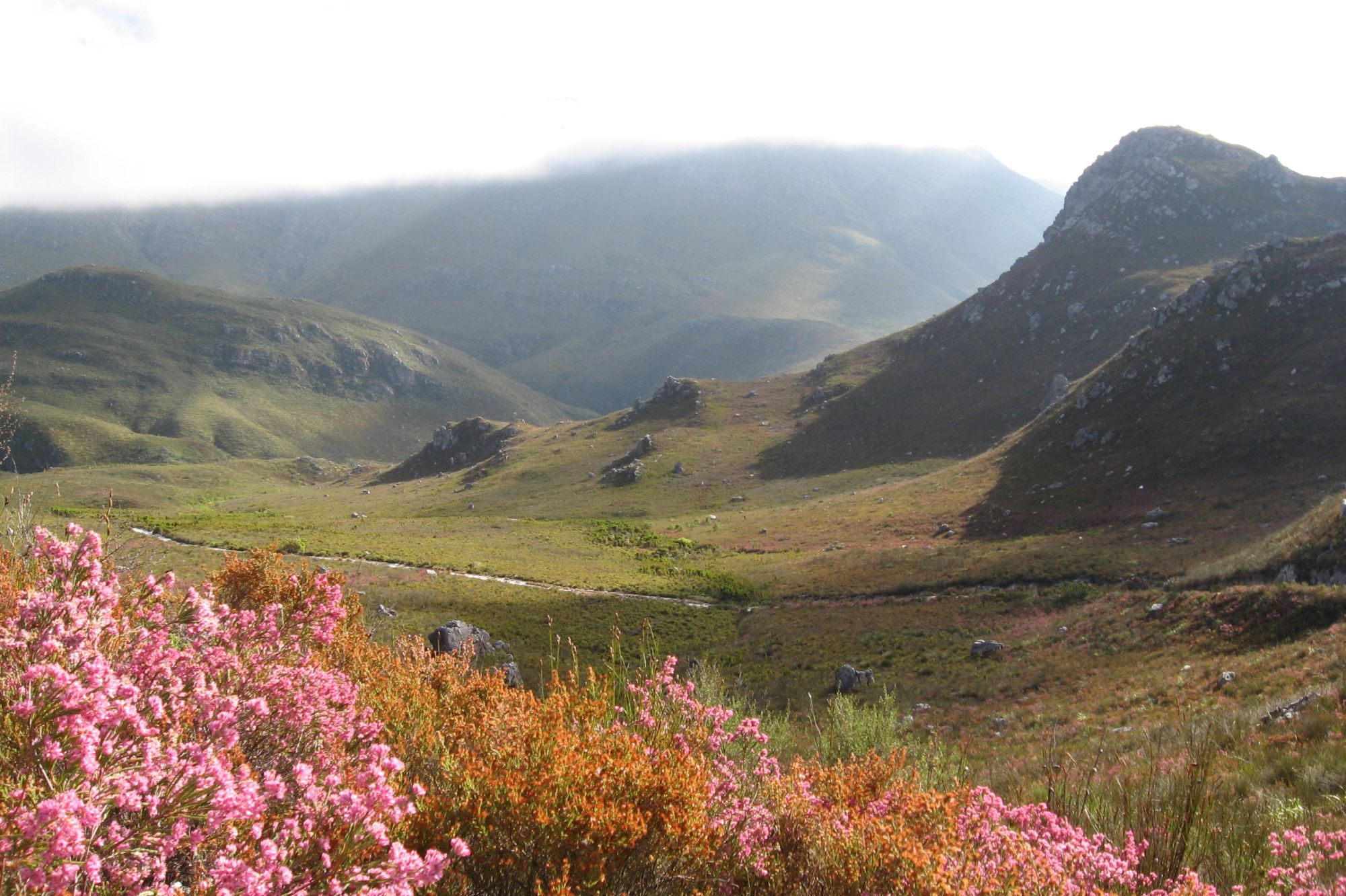 Image related to website content Image related to website content