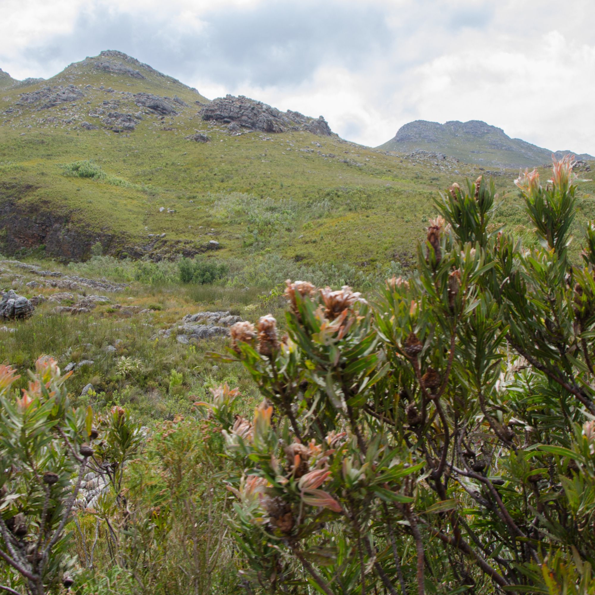 Image related to website content Image related to website content