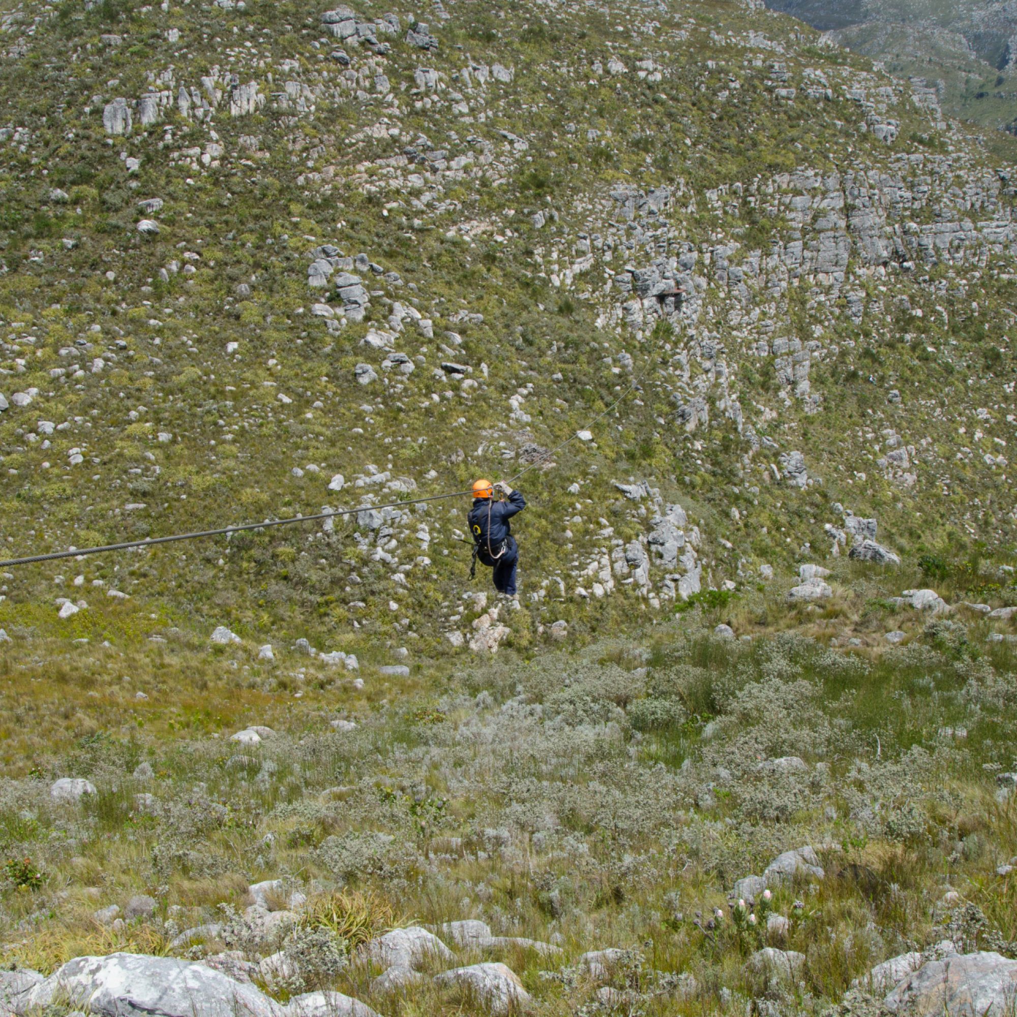 Image related to website content Image related to website content