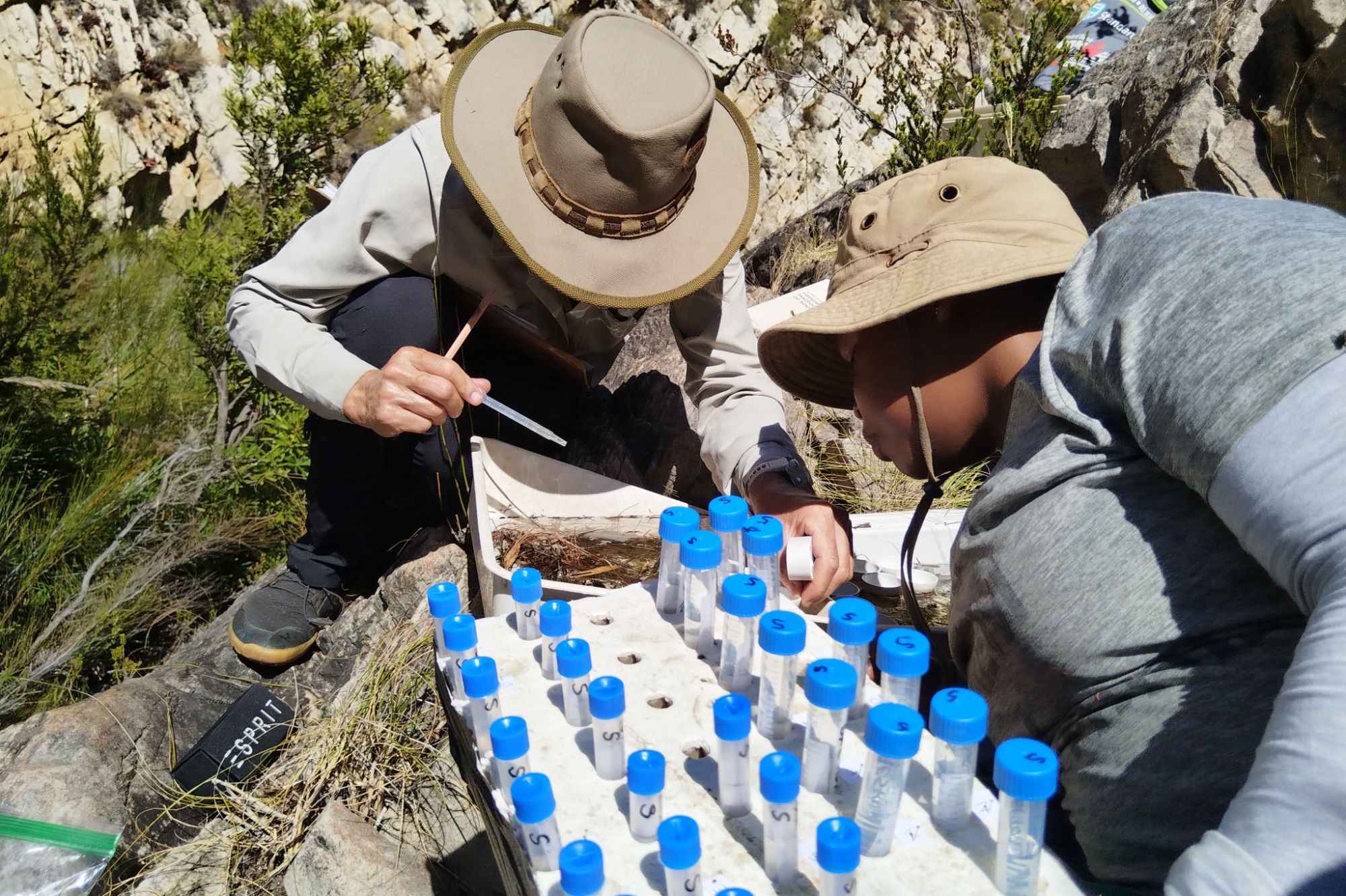 Huis River aquatic invertebrate survey Huis River aquatic invertebrate survey