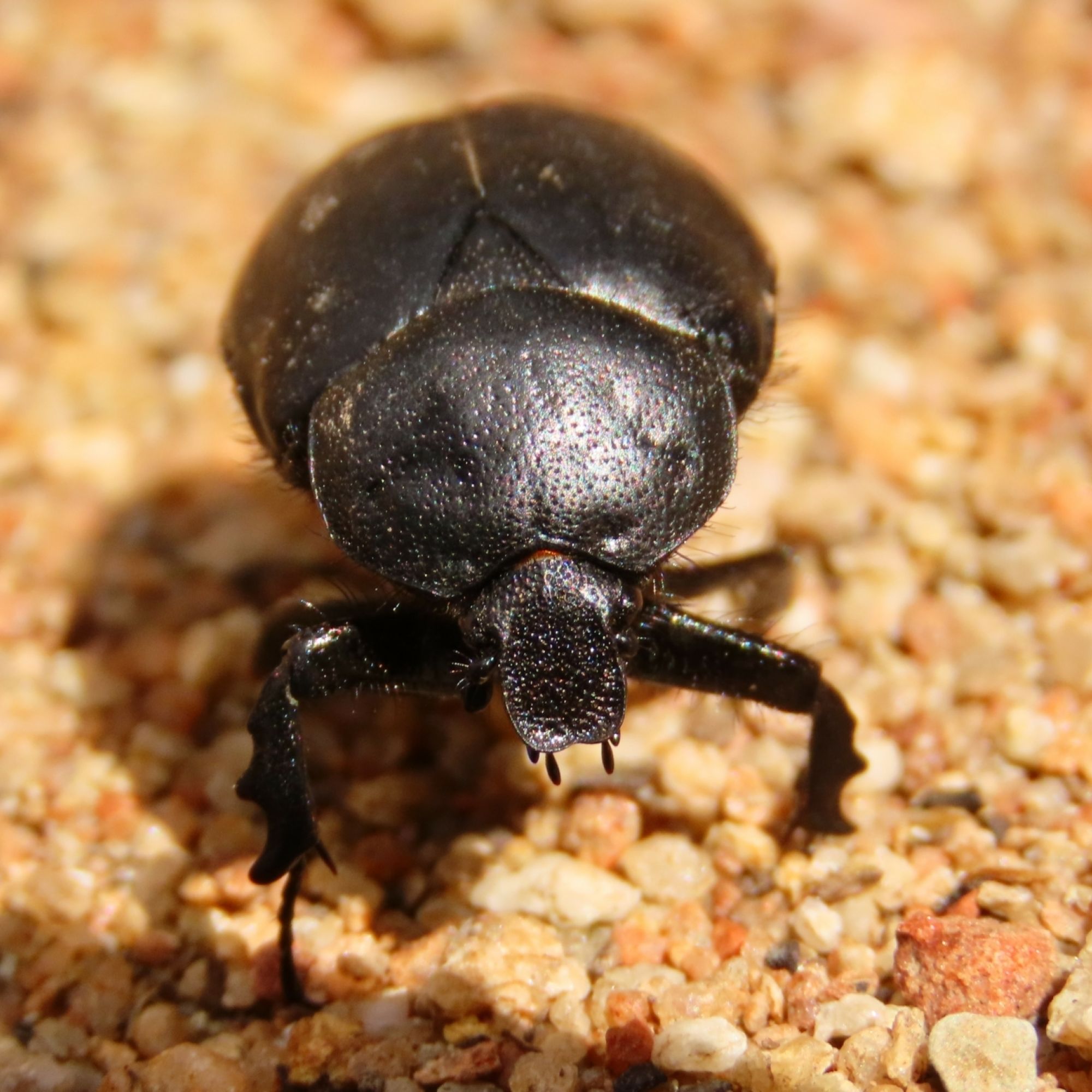 Image related to website content Image related to website content