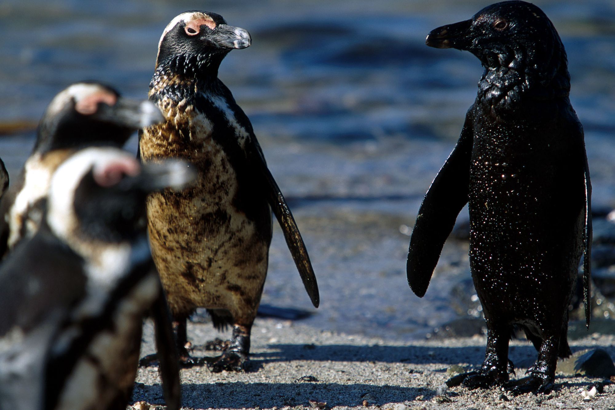 Image related to website content Image related to website content