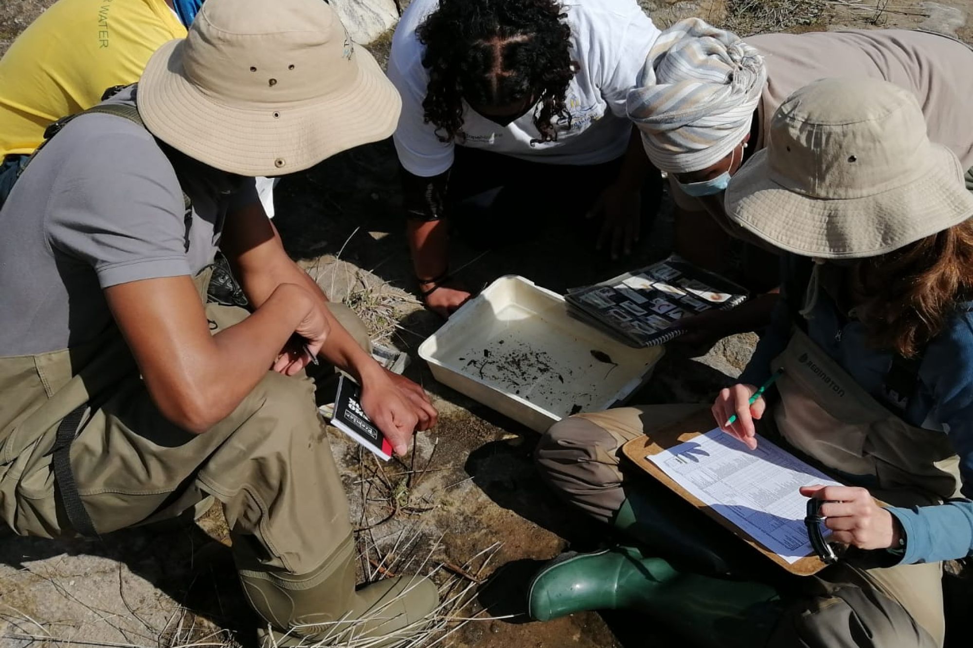 Image related to website content Image related to website content