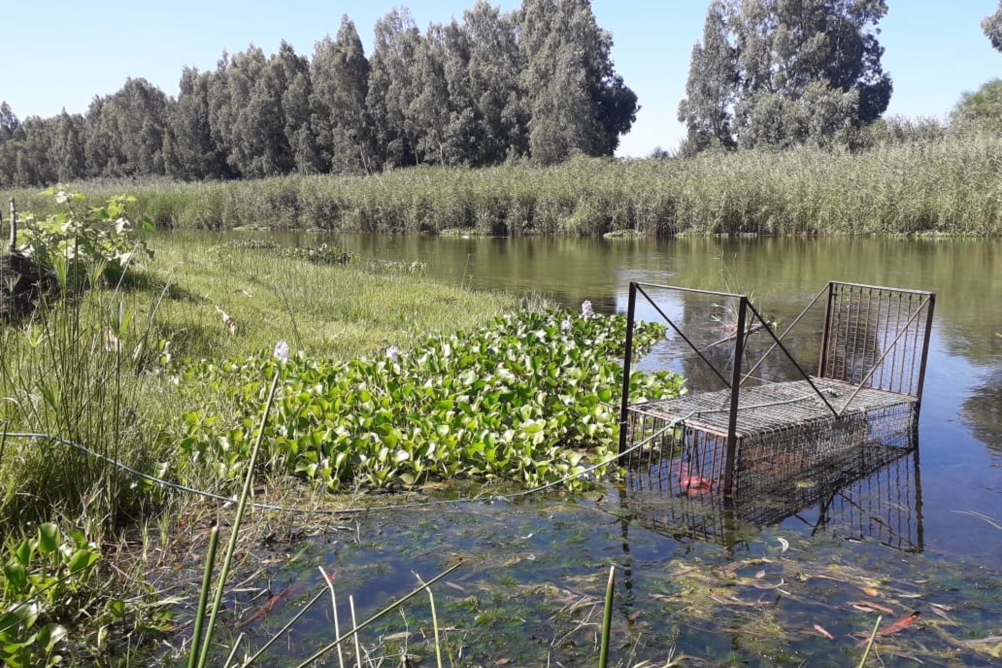 Image related to website content Image related to website content