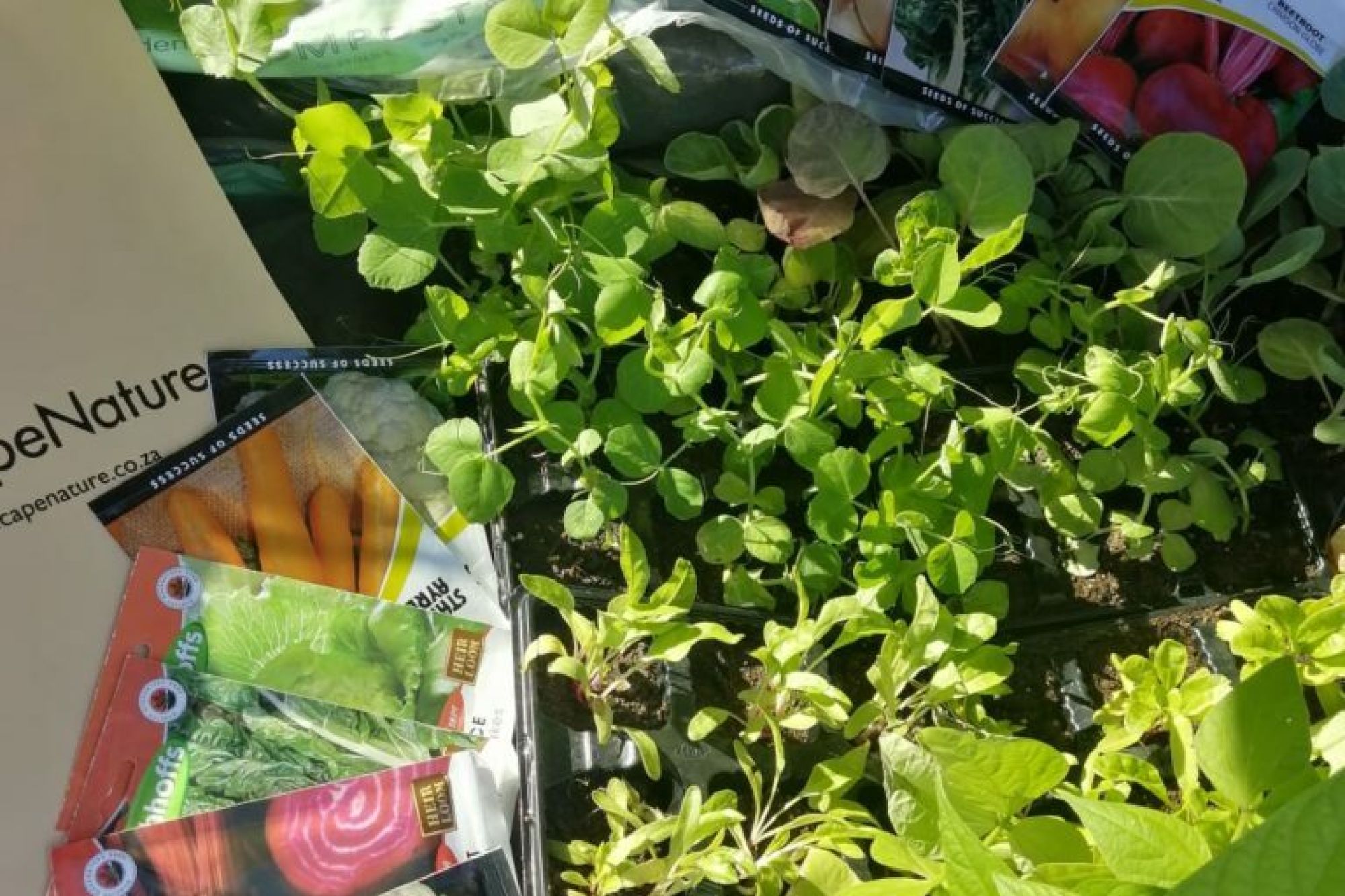 Image related to website content Image related to website content