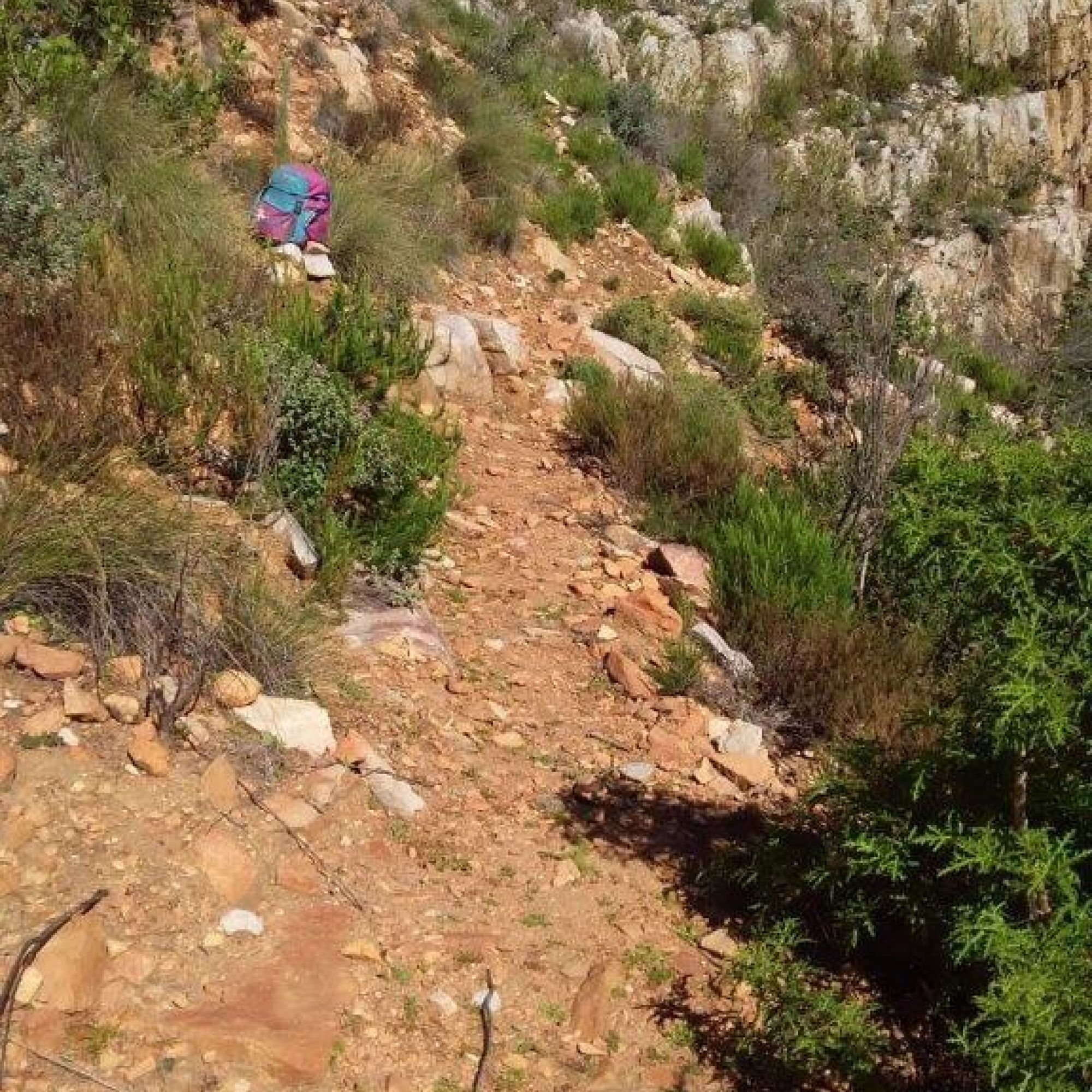 Image related to website content Image related to website content