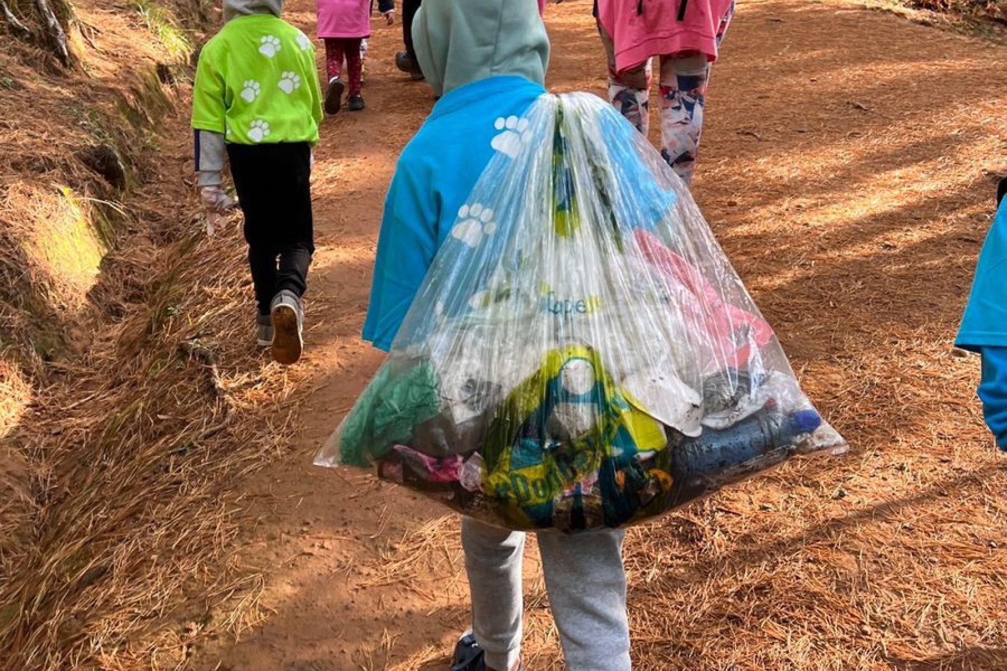 Image related to website content Image related to website content