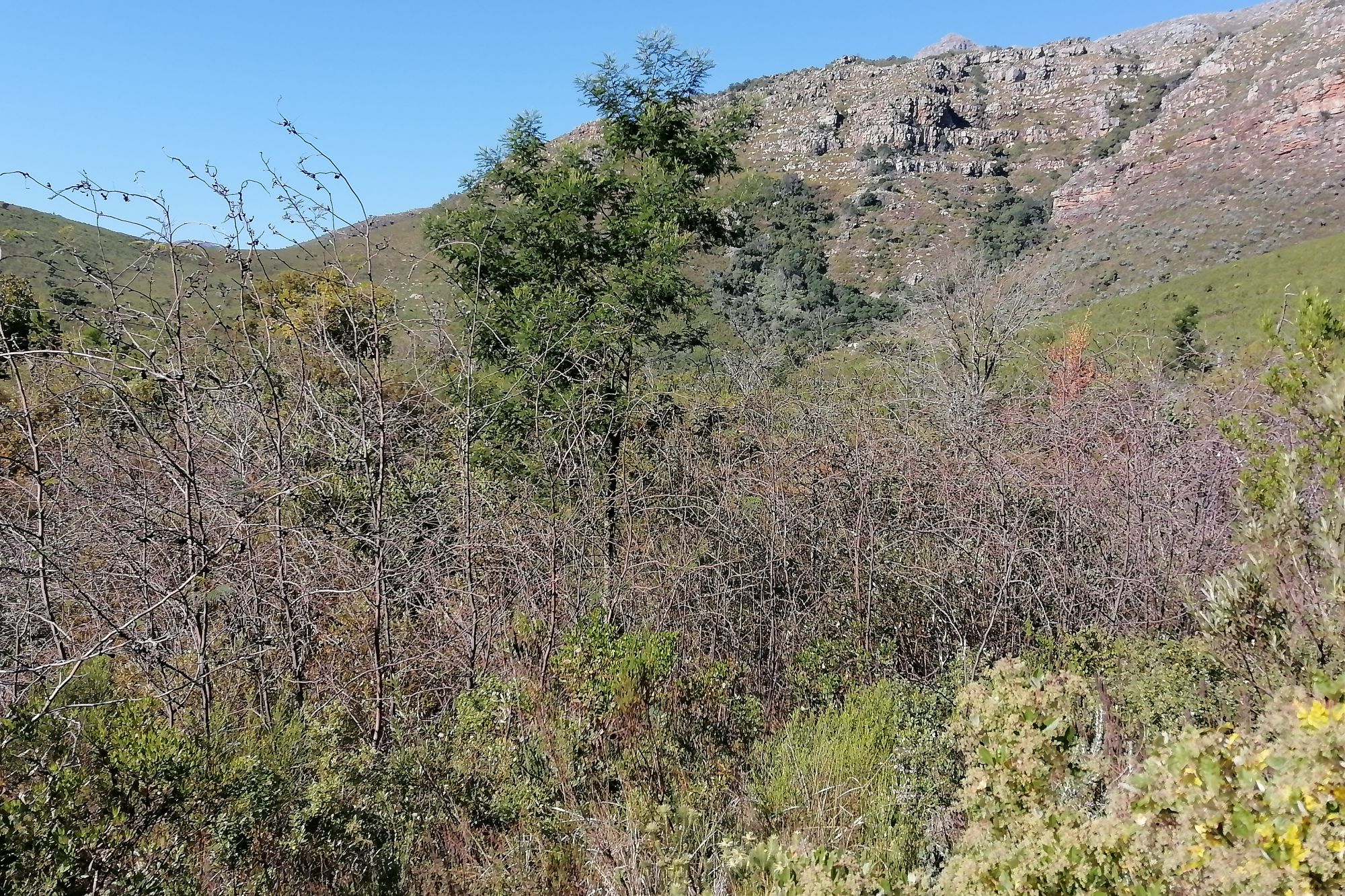 Image related to website content Image related to website content