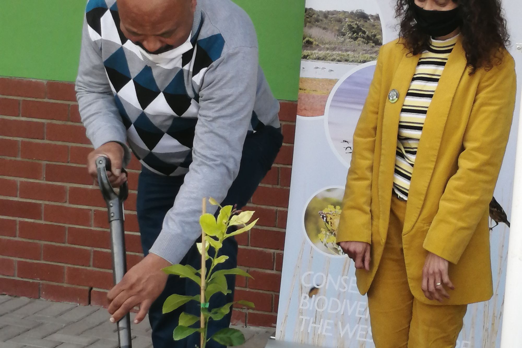 Image related to website content Image related to website content