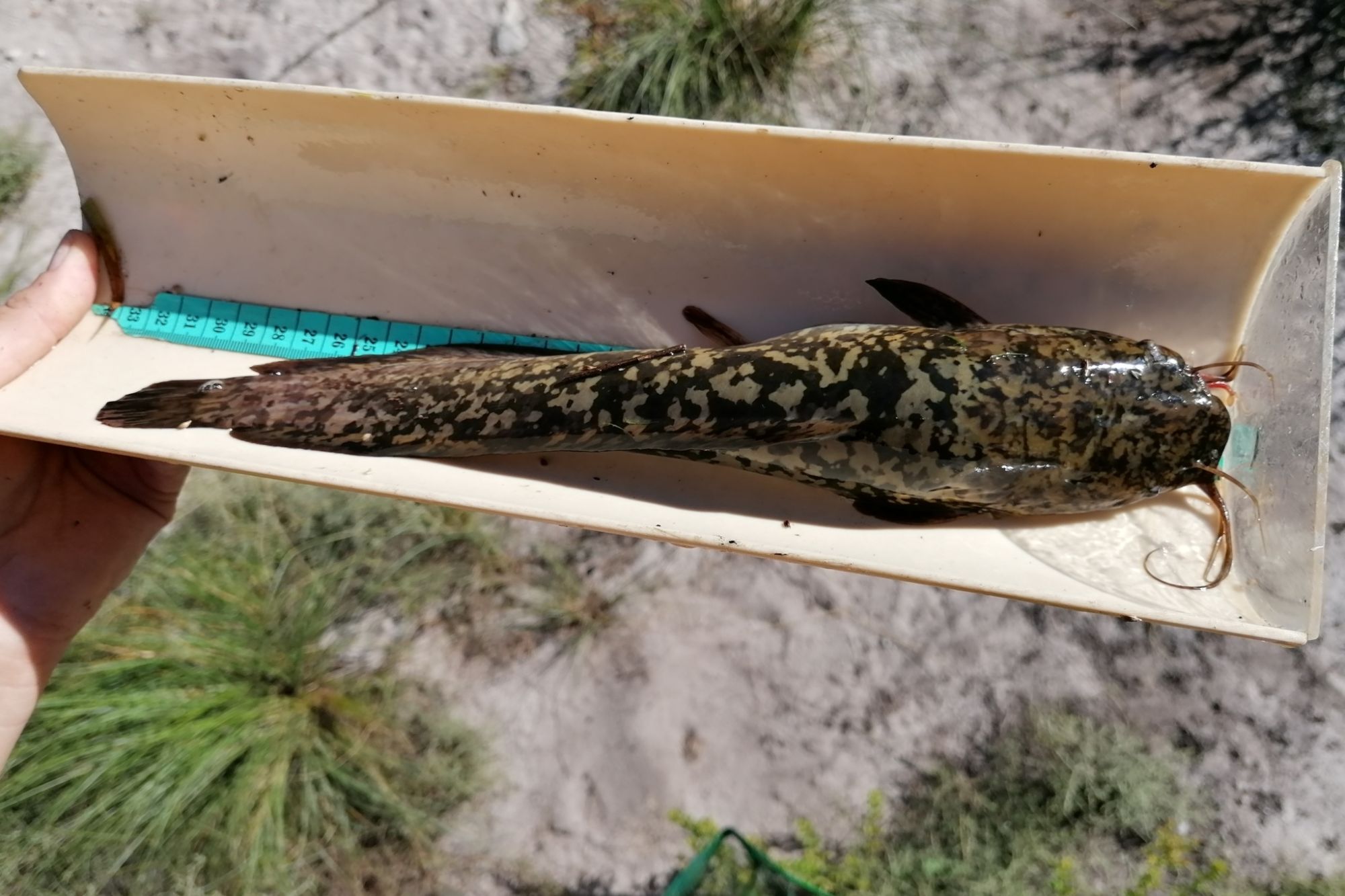 Image related to website content Image related to website content