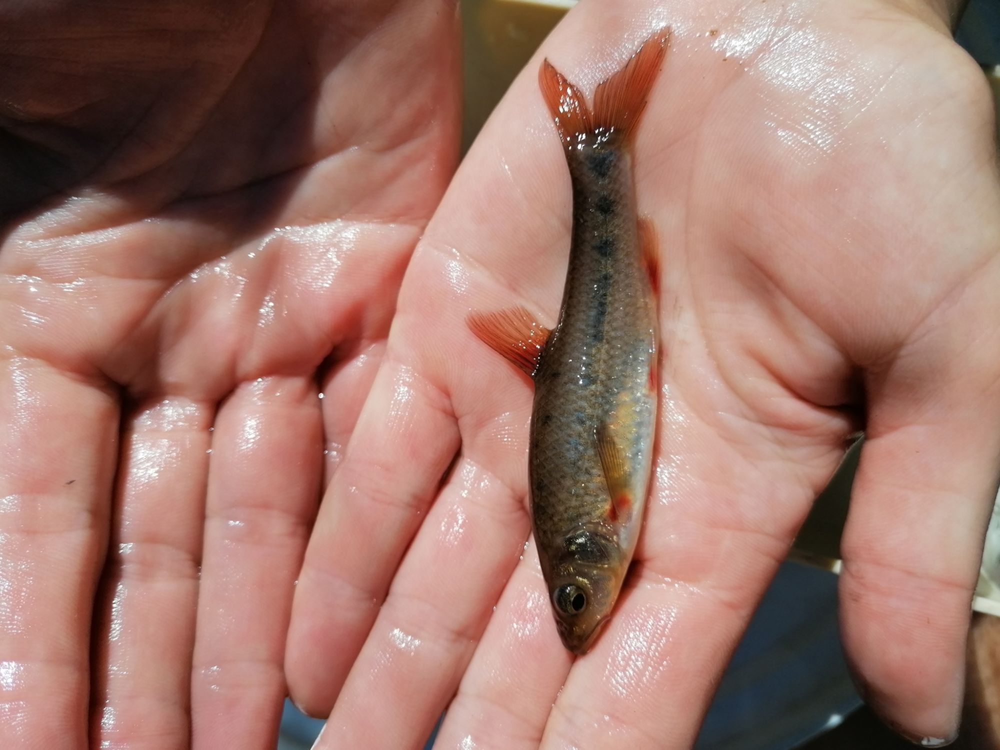 Image related to website content Image related to website content