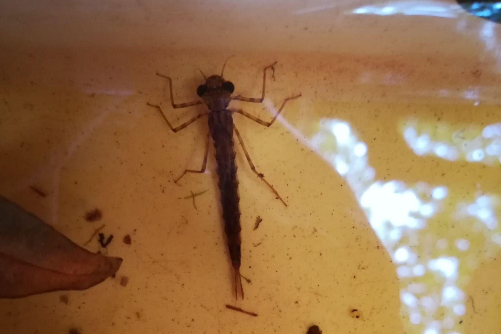 Image related to website content Image related to website content