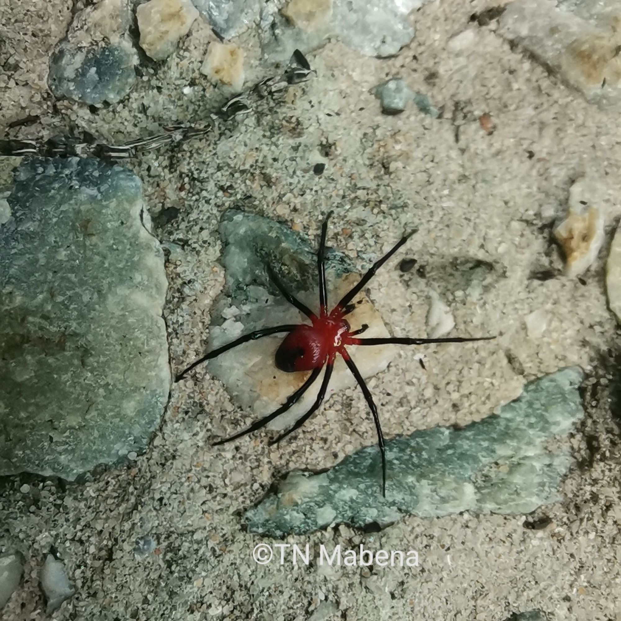 Image related to website content Image related to website content