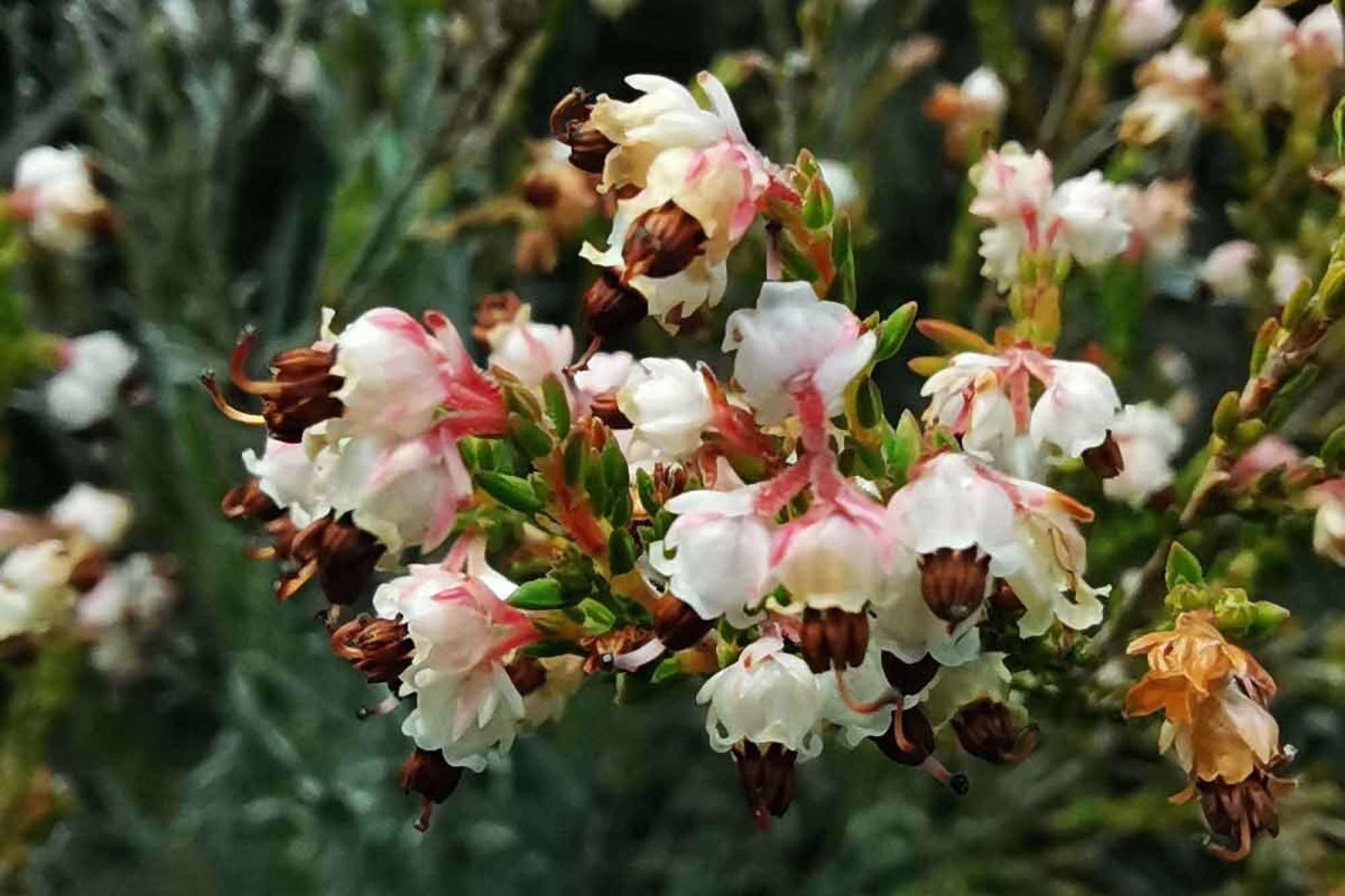 Image related to website content Image related to website content