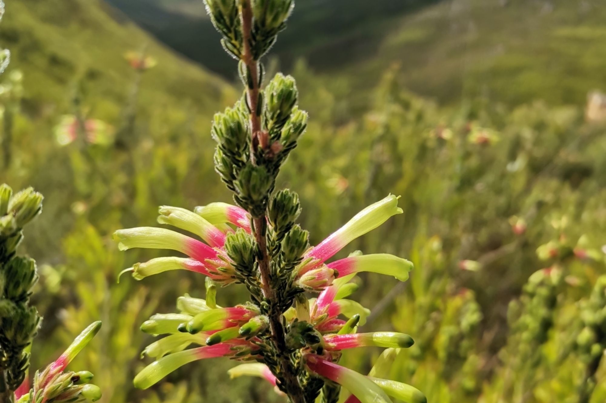 Image related to website content Image related to website content