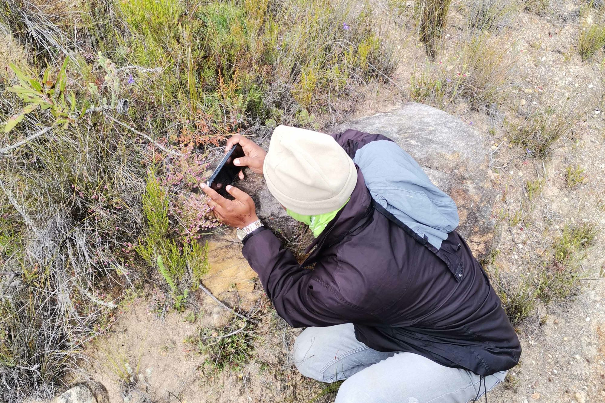 Image related to website content Image related to website content