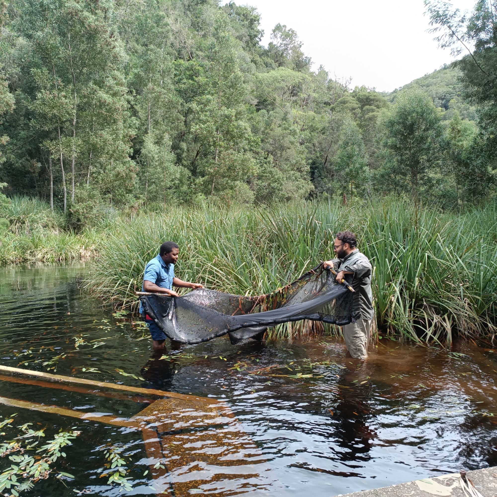 Image related to website content Image related to website content