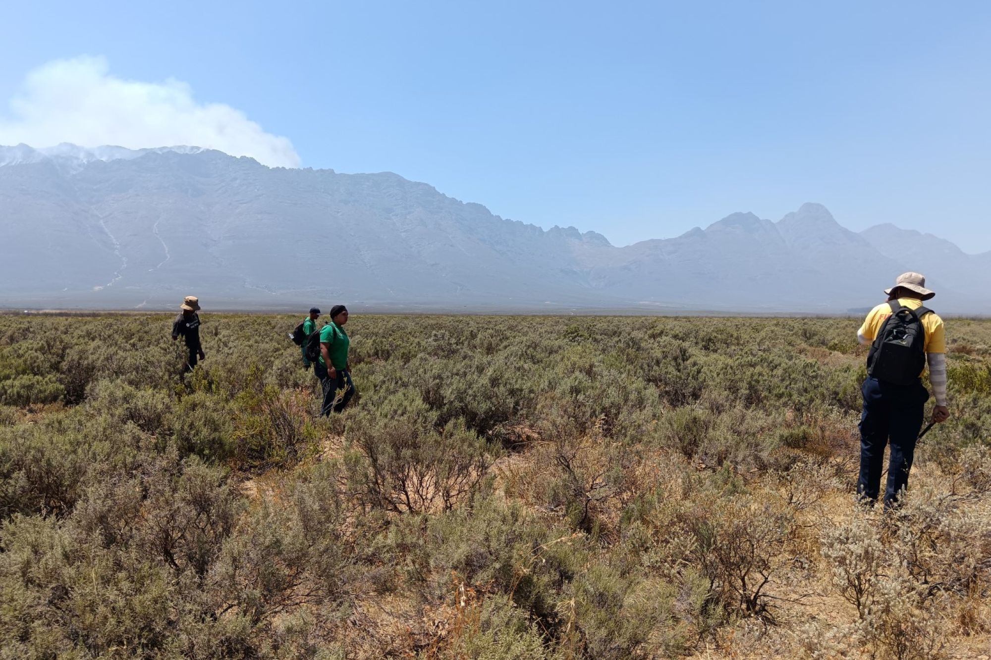 Image related to website content Image related to website content