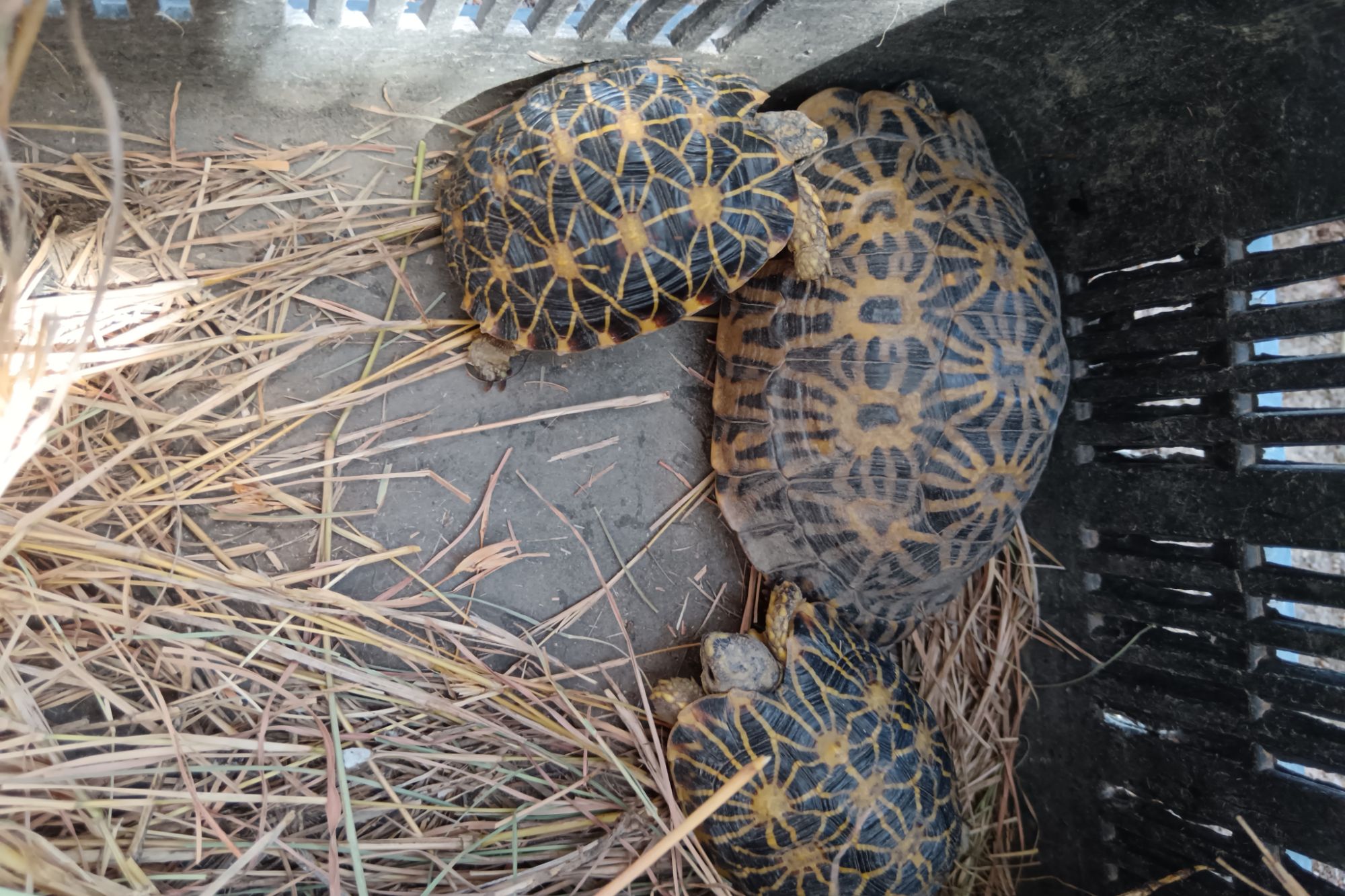 Image related to website content Image related to website content